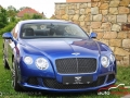 sraz-rolls-royce-a-bentley-47.jpg
