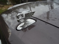 DSC_1618_resize