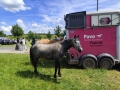IMG_20260606_144012