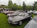 IMG_20250607_104437