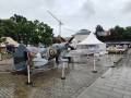 IMG_20240601_140923