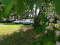 IMG_20240504_141940