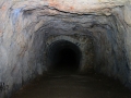 IMG_8508
