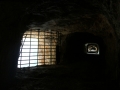 IMG_8570
