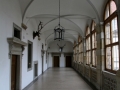 zIMG_4132