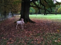 IMG_20251011_153601