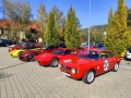 IMG_20261003_112249